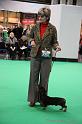 Crufts2011_2 520